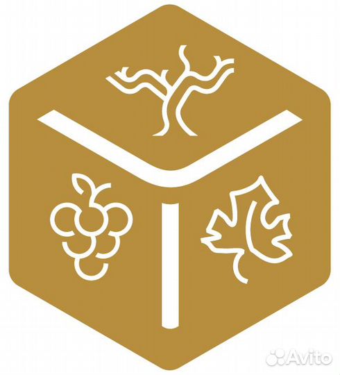 Техник бассейна