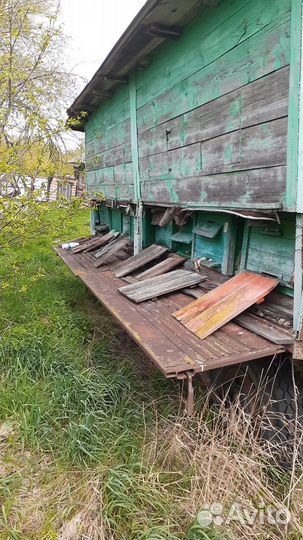 Пчелы и улья