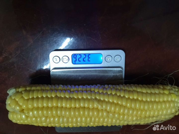 Сахарная кукуруза