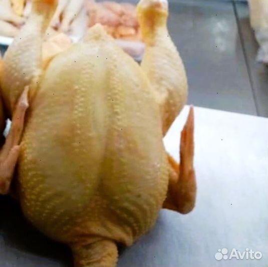 Куры охажденные халяль опт 100шт