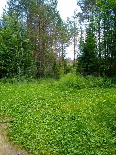 Участок 9 сот. (ИЖС)