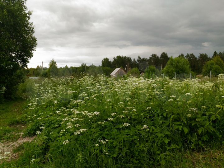 Участок 9,7 сот. (ИЖС)