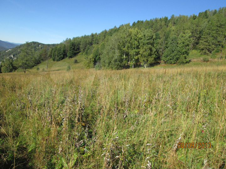 Участок 9,14 га (СНТ, ДНП)