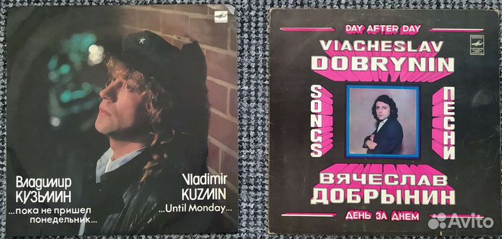 Виниловые пластинки