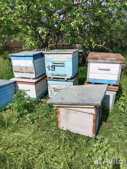 Улей для пчел бу