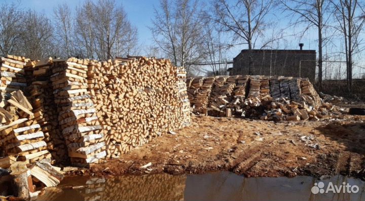 Дрова береза