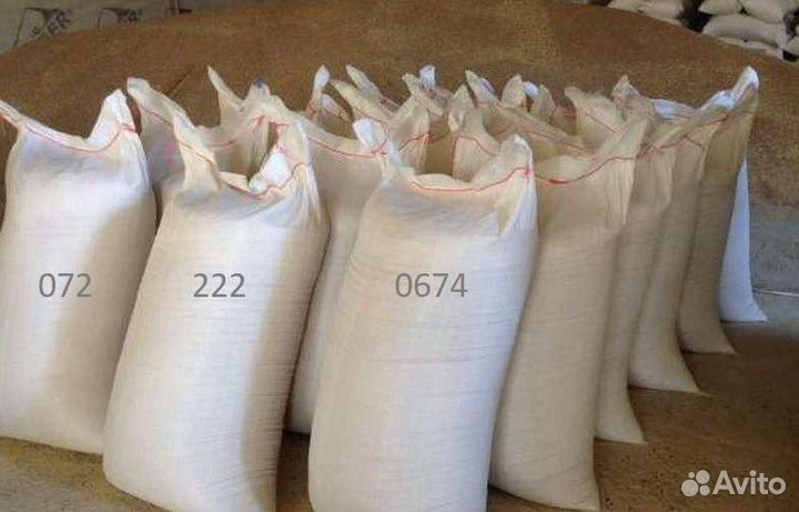 Зерно. Пшеница. Ячмень. Кукуруза. Подсолнечник.лнр