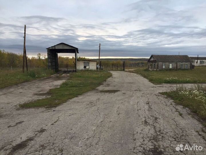 Фермерское хозяйство в Самарской области