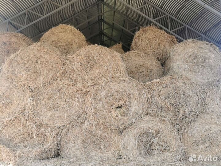 Сено в рулонах люцерна 2023