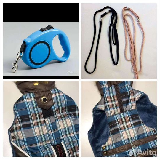 Товары для животных