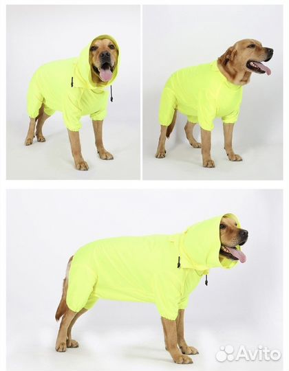 Дождевик для собак
