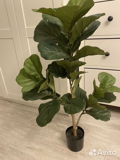 Фикус Лирата искусственный h90см