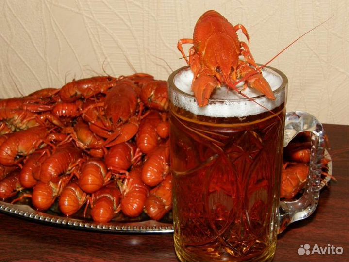 Живые раки