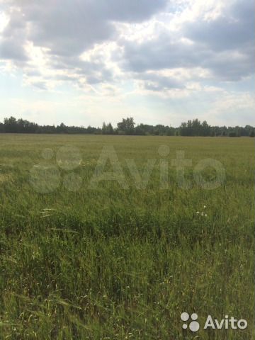 Участок 4,82 га (СНТ, ДНП)