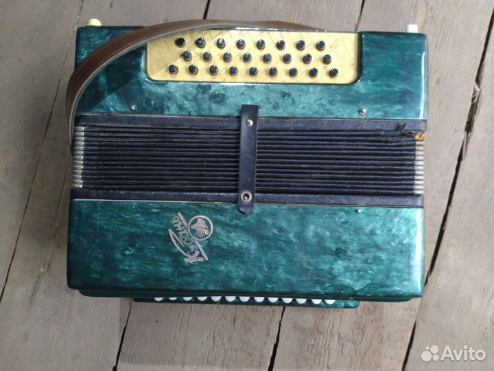 Гармонь кубань
