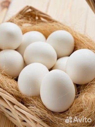 Яйцо куриное деревенское