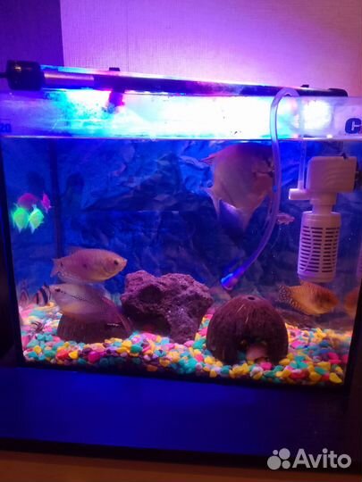 Украшения для аквариума