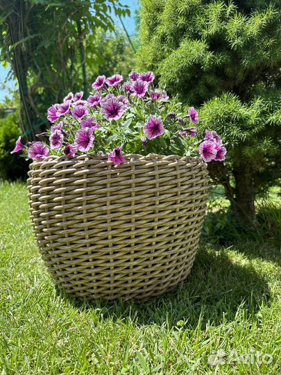 Кашпо для цветов