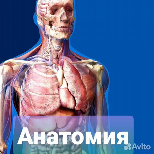 Репетитор по Биологии,Анатомии, Гистологии, Тесты