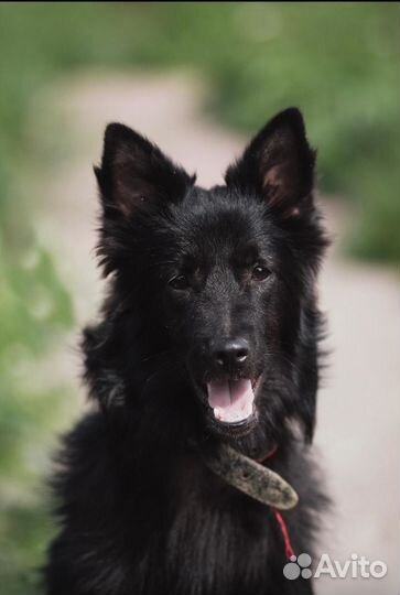 Шикарный подросток ищет семью