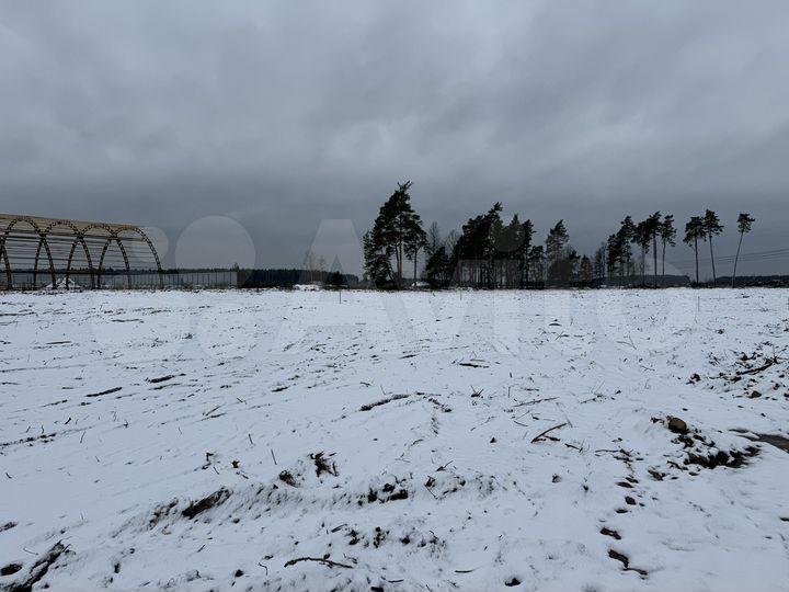 Участок 54 сот. (СНТ, ДНП)