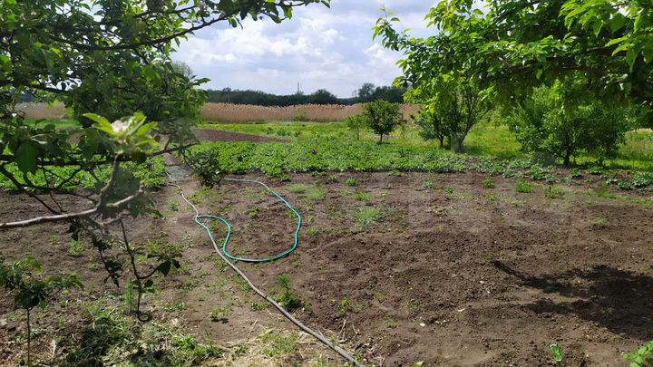 Дом 138 м² на участке 26 сот.