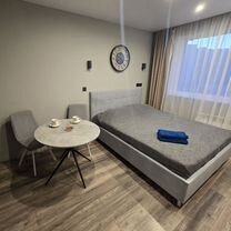 Квартира-студия, 20 м², 8/24 эт.