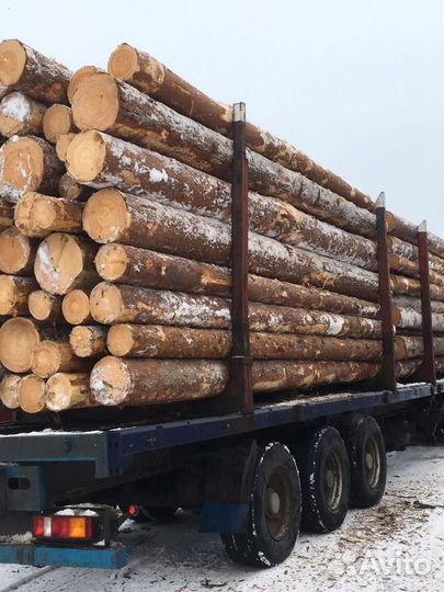 Лес кругляк