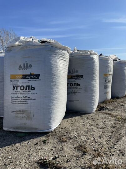 Уголь Балахтинский семечка в биг бегах фасованый