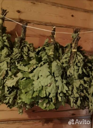 Веники. Березовые и дубовые