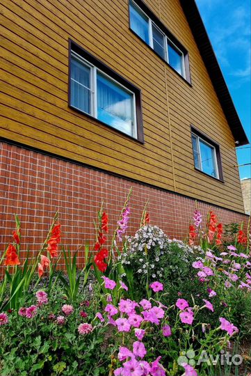 Многолетние садовые и домашние цветы