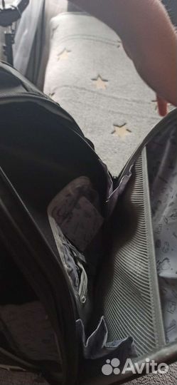 Школьный рюкзак berlingo