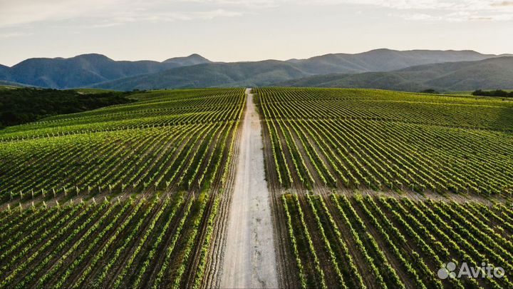 Экскурсия на Глебовское водохранилище