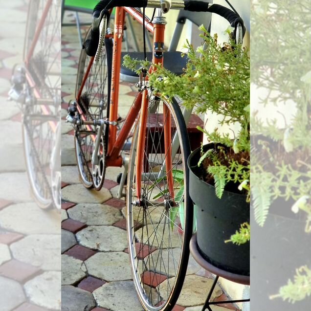 Bottecchia - клылатая легенда 60х
