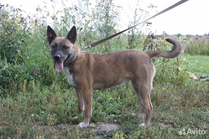 Дана ищет дом