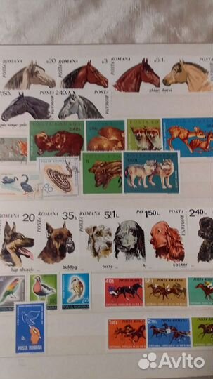 Альбом с почтовыми марками