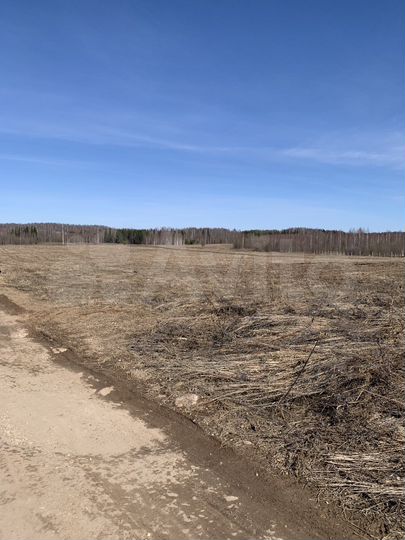 Участок 8,6 сот. (СНТ, ДНП)