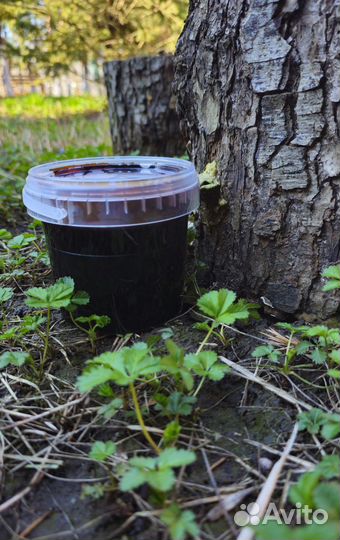 Арбузный мед для мужчин и женщин