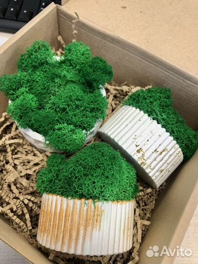 Кашпо со мхом/стабилизированный мох/декор