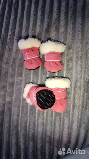 Обувь для маленьких собак