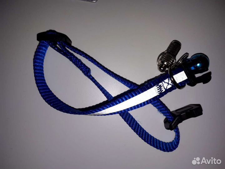 Адресник и ошейник