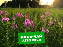 Иван-чай 1 кг сезон 2024 с шиповником,цветами и др