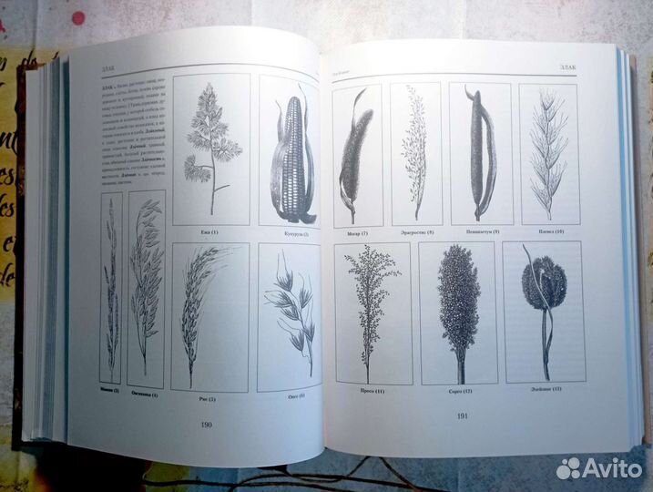Иллюстрированный толковый словарь В.Даль 2005