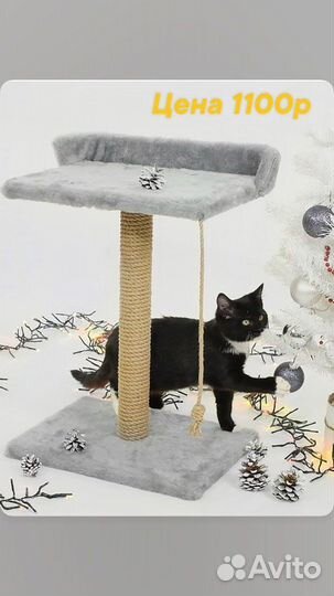 Когтеточка