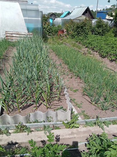 Дом 408 м² на участке 4 сот.