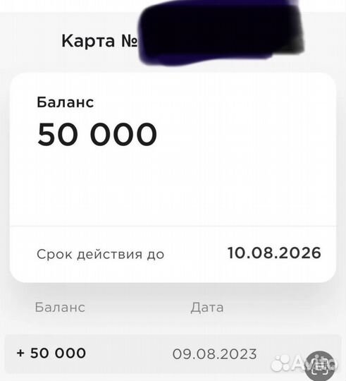 Кенгуру