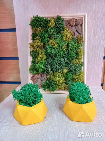 Картина из стабилизированного мха