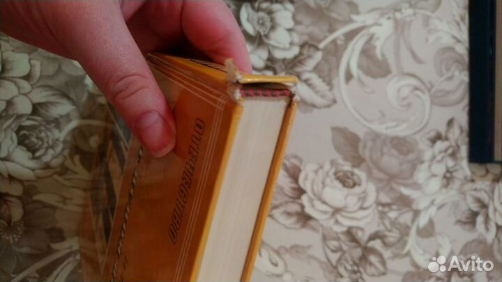 Книги. Даль. Пословицы. Толстой. Свет Ясной Поляны