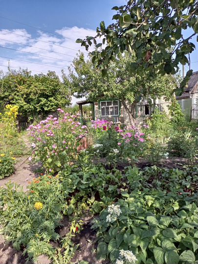 Дача 24 м² на участке 6,5 сот.