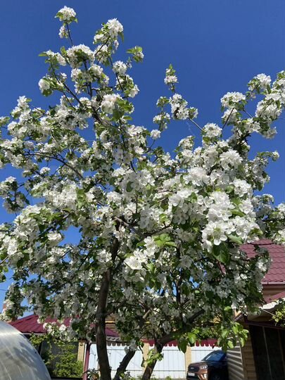 Дача 46,3 м² на участке 4,1 сот.